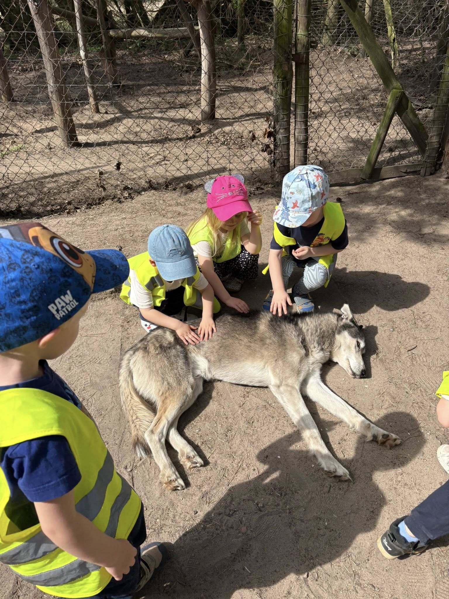 wycieczki szkolne i przedszkolne